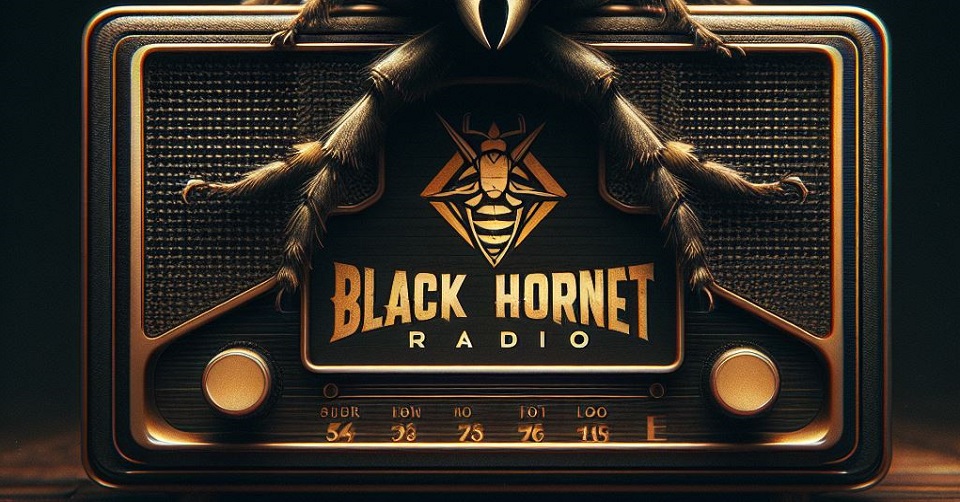Kdekdo chová včely, my si políčili na sršně, ovšem s velkým "Š" - BLACK HORNET RADIO!