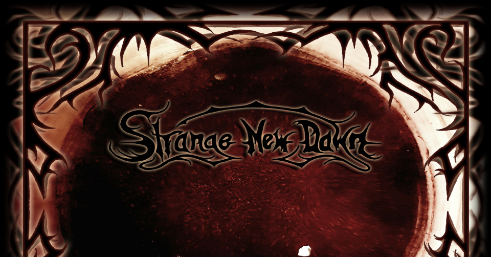 Recenze: STRANGE NEW DAWN – Planet System /2020/ Death To Music Production